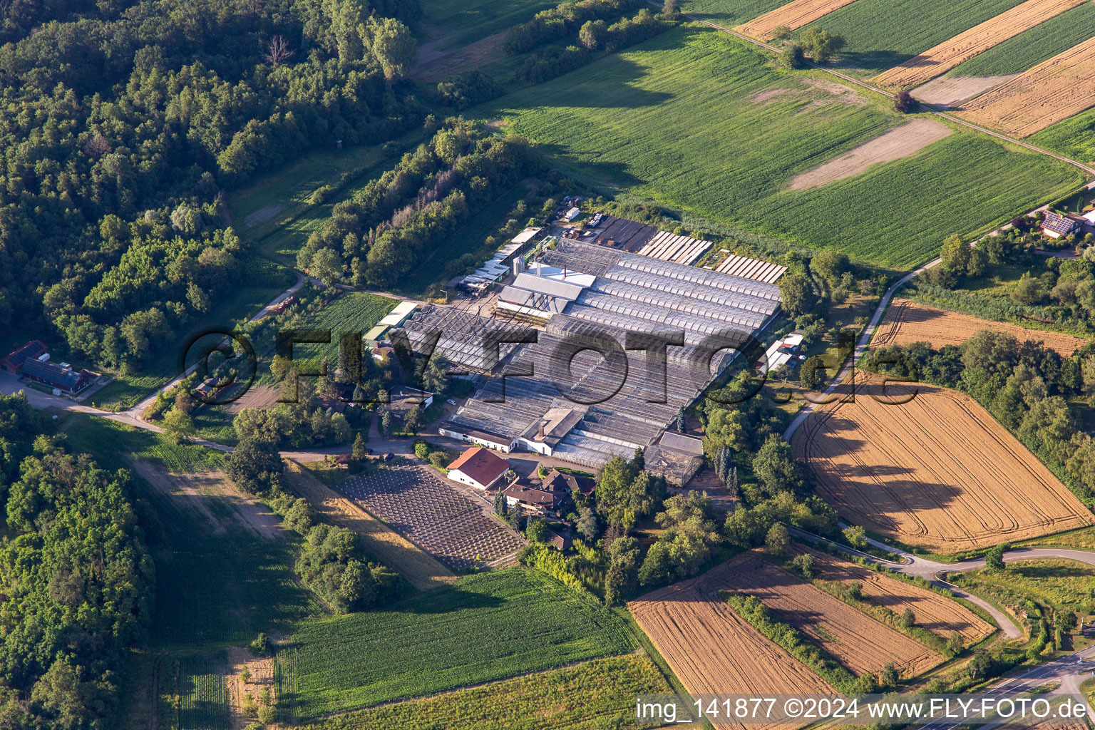 Ehemalige Geranienzucht in Hagenbach im Bundesland Rheinland-Pfalz, Deutschland