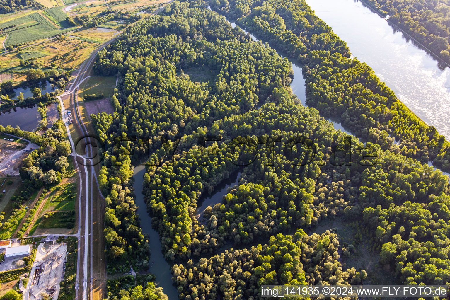 Altrhein bis zur Panzerbrücke in Au am Rhein im Bundesland Baden-Württemberg, Deutschland