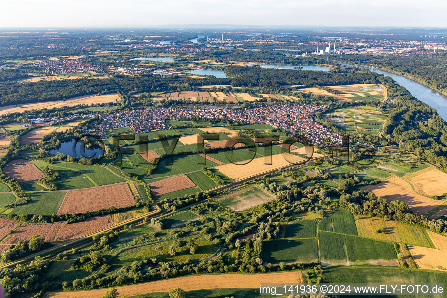 Neuburg von Süden in Neuburg am Rhein im Bundesland Rheinland-Pfalz, Deutschland