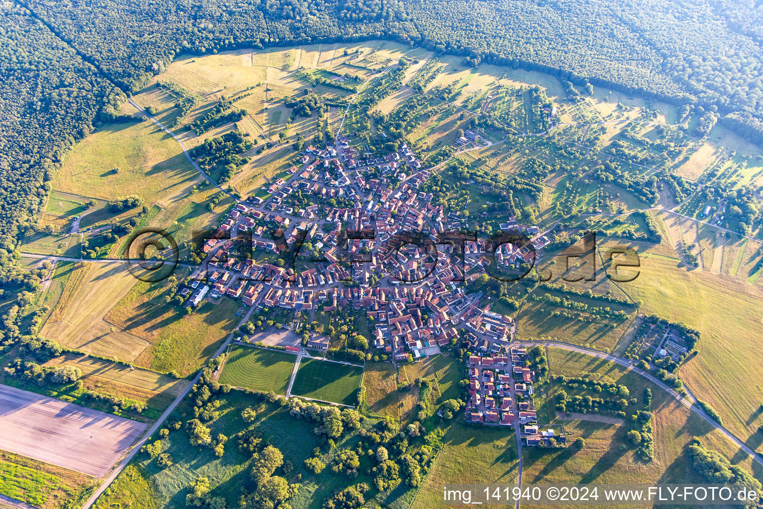 Im Sommer im Ortsteil Büchelberg in Wörth am Rhein im Bundesland Rheinland-Pfalz, Deutschland