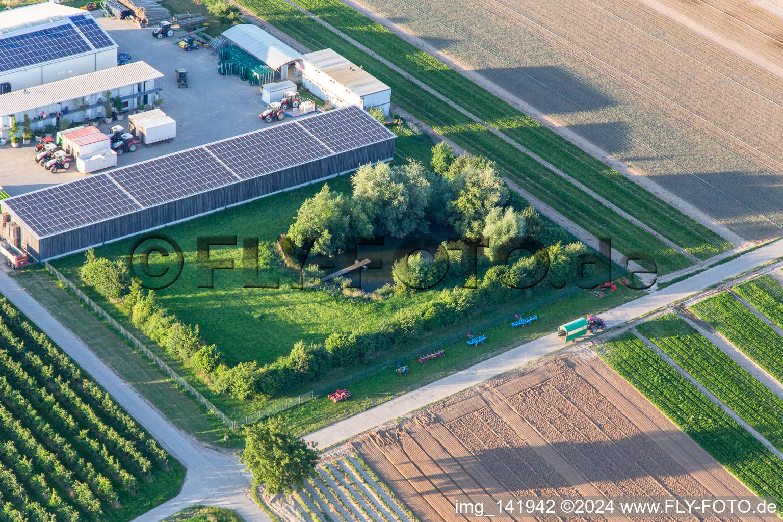 Bauers Garten mit Naturteich in Winden im Bundesland Rheinland-Pfalz, Deutschland