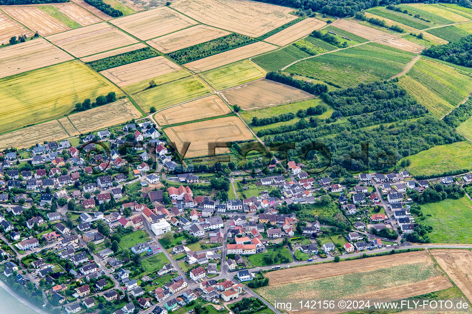 Ortsteil Burg Layen in Dorsheim im Bundesland Rheinland-Pfalz, Deutschland