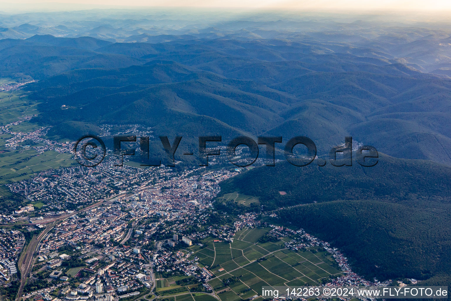 Neustadt an der Weinstraße von Nordosten im Bundesland Rheinland-Pfalz, Deutschland