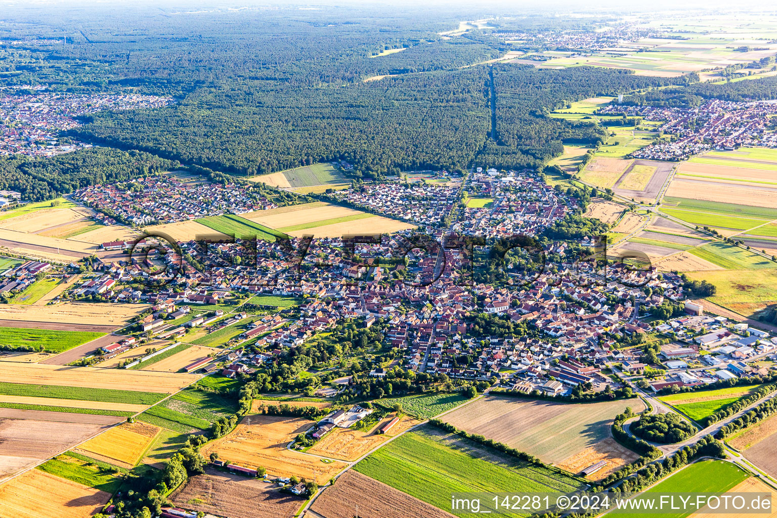 Rheinzabern im Bundesland Rheinland-Pfalz, Deutschland aus der Drohnenperspektive