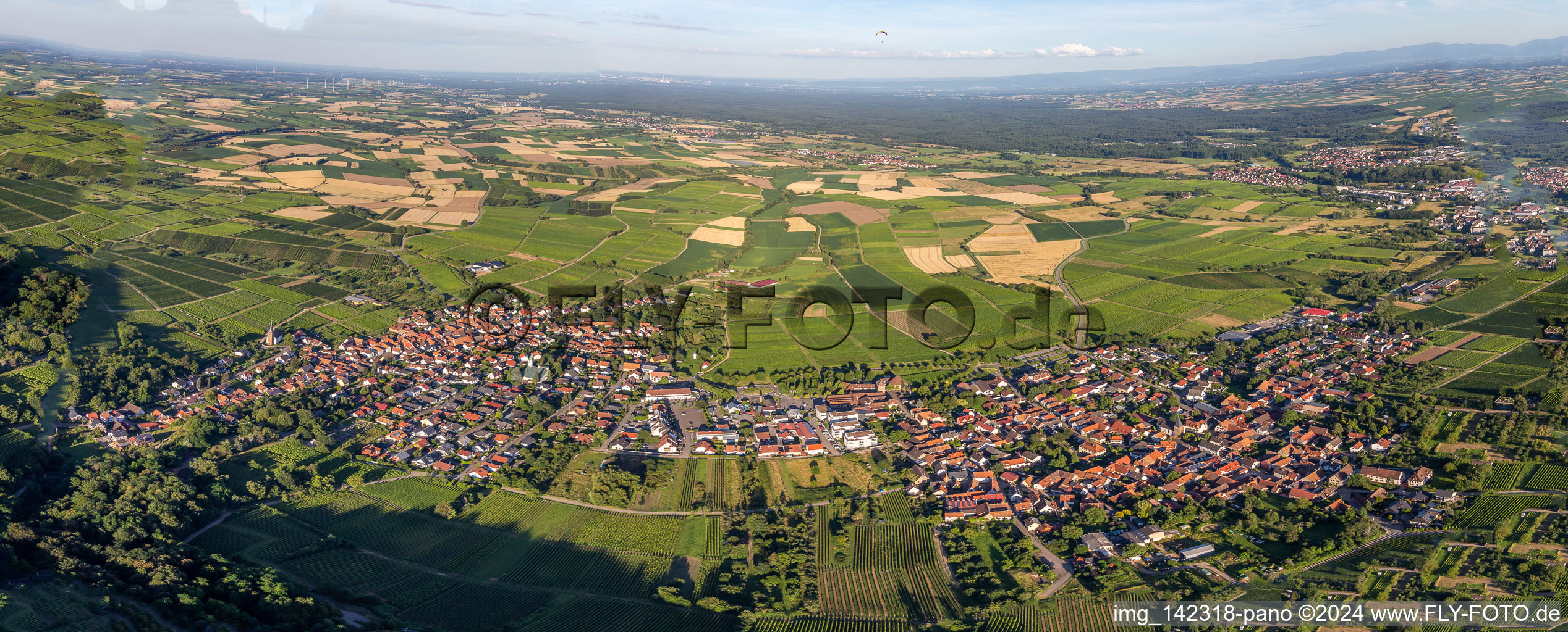 Ortsteil Schweigen in Schweigen-Rechtenbach im Bundesland Rheinland-Pfalz, Deutschland von einer Drohne aus