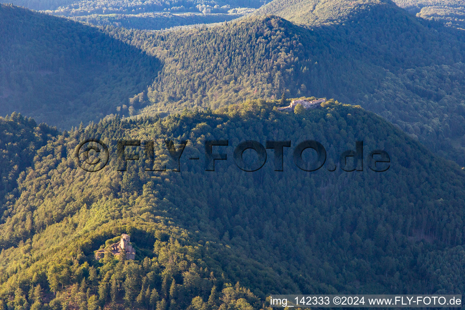 Ruine Hohenburg in Wingen im Bundesland Bas-Rhin, Frankreich