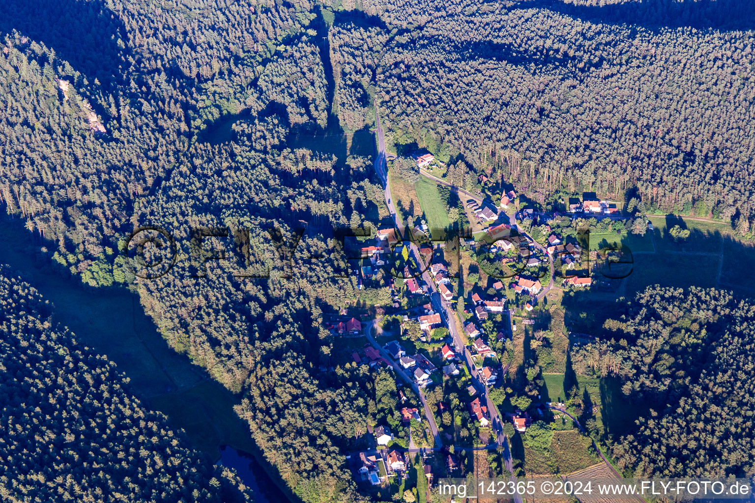 Lauterschwan von Nordwesten in Erlenbach bei Dahn im Bundesland Rheinland-Pfalz, Deutschland