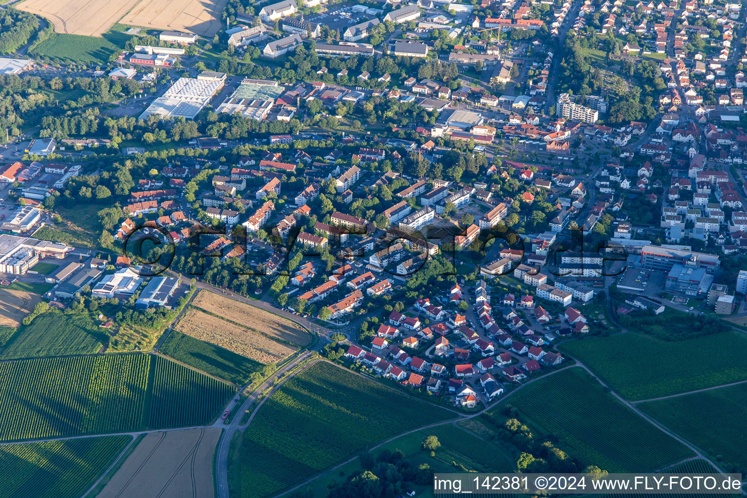 Neubaugebiet Im Wngert im Ortsteil Pleisweiler in Bad Bergzabern im Bundesland Rheinland-Pfalz, Deutschland