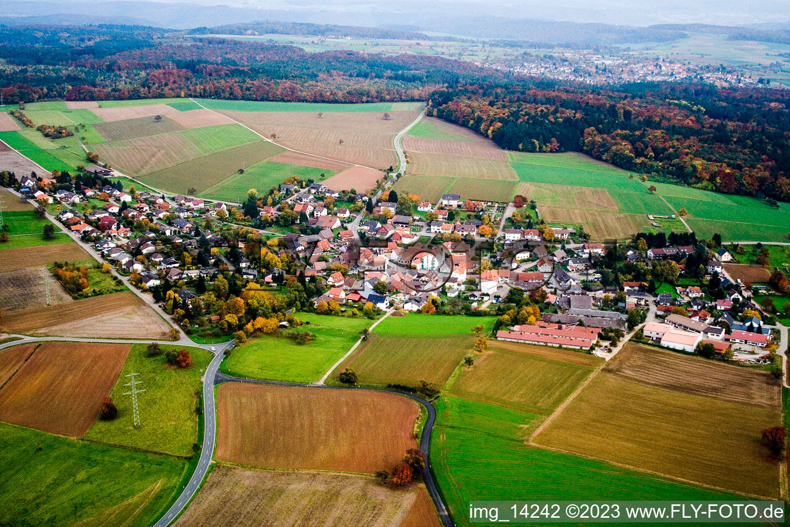 Luftbild von Schwanheim im Bundesland Baden-Württemberg, Deutschland