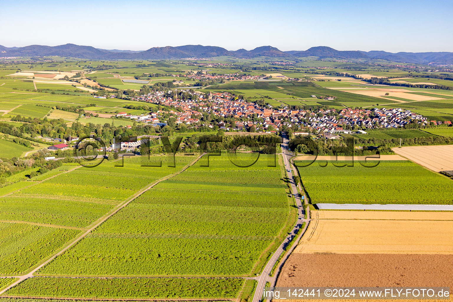 Insheim von Westen im Bundesland Rheinland-Pfalz, Deutschland