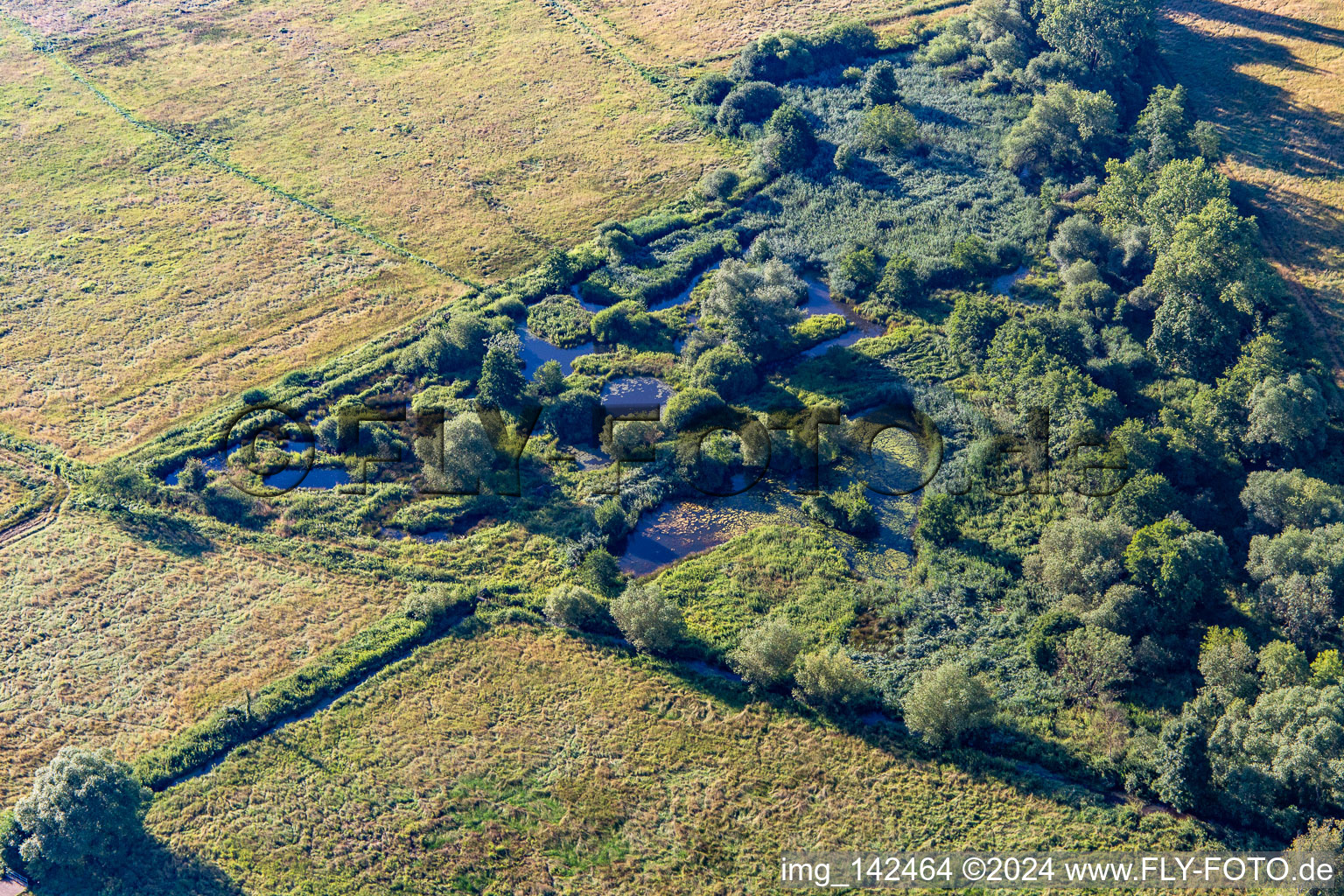 Luftaufnahme von Biotop an der Queich im Ortsteil Niederhochstadt in Hochstadt im Bundesland Rheinland-Pfalz, Deutschland