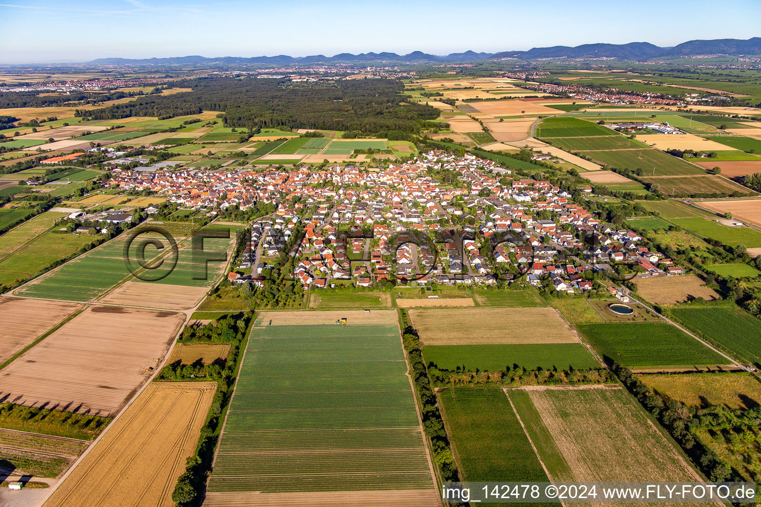 Zeiskam von Osten im Bundesland Rheinland-Pfalz, Deutschland