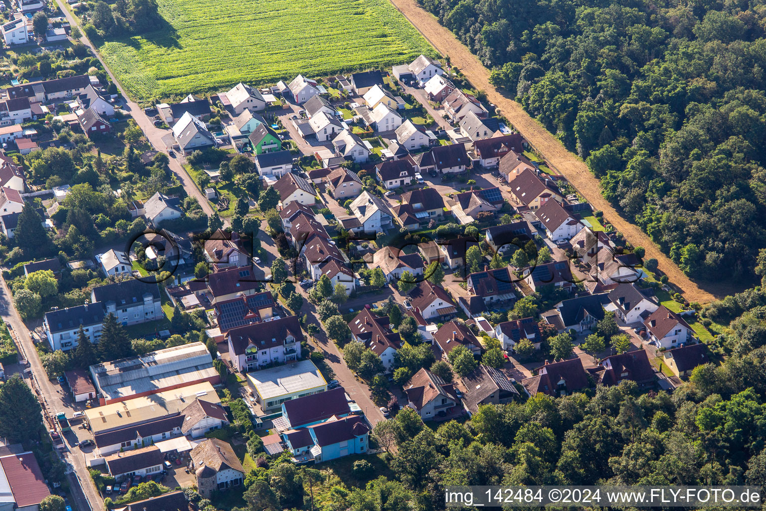 Waldstr in Westheim im Bundesland Rheinland-Pfalz, Deutschland