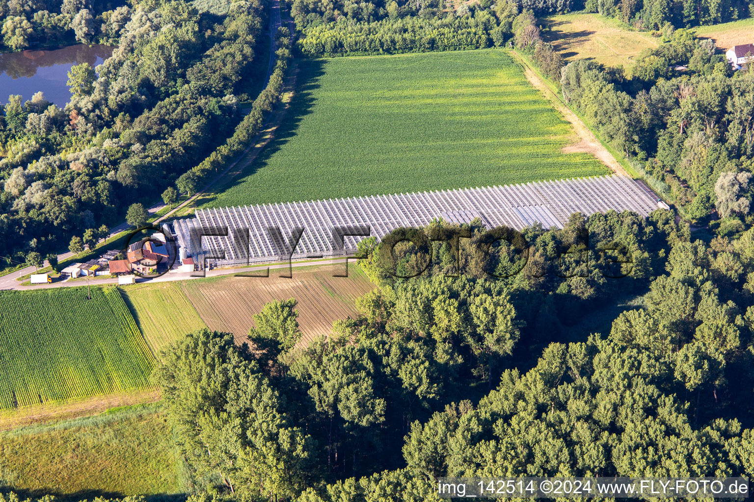 Gärtnerei Blumen-Xpert GbR mit Gewächshäusern an der Hördter Straße im Ortsteil Sondernheim in Germersheim im Bundesland Rheinland-Pfalz, Deutschland