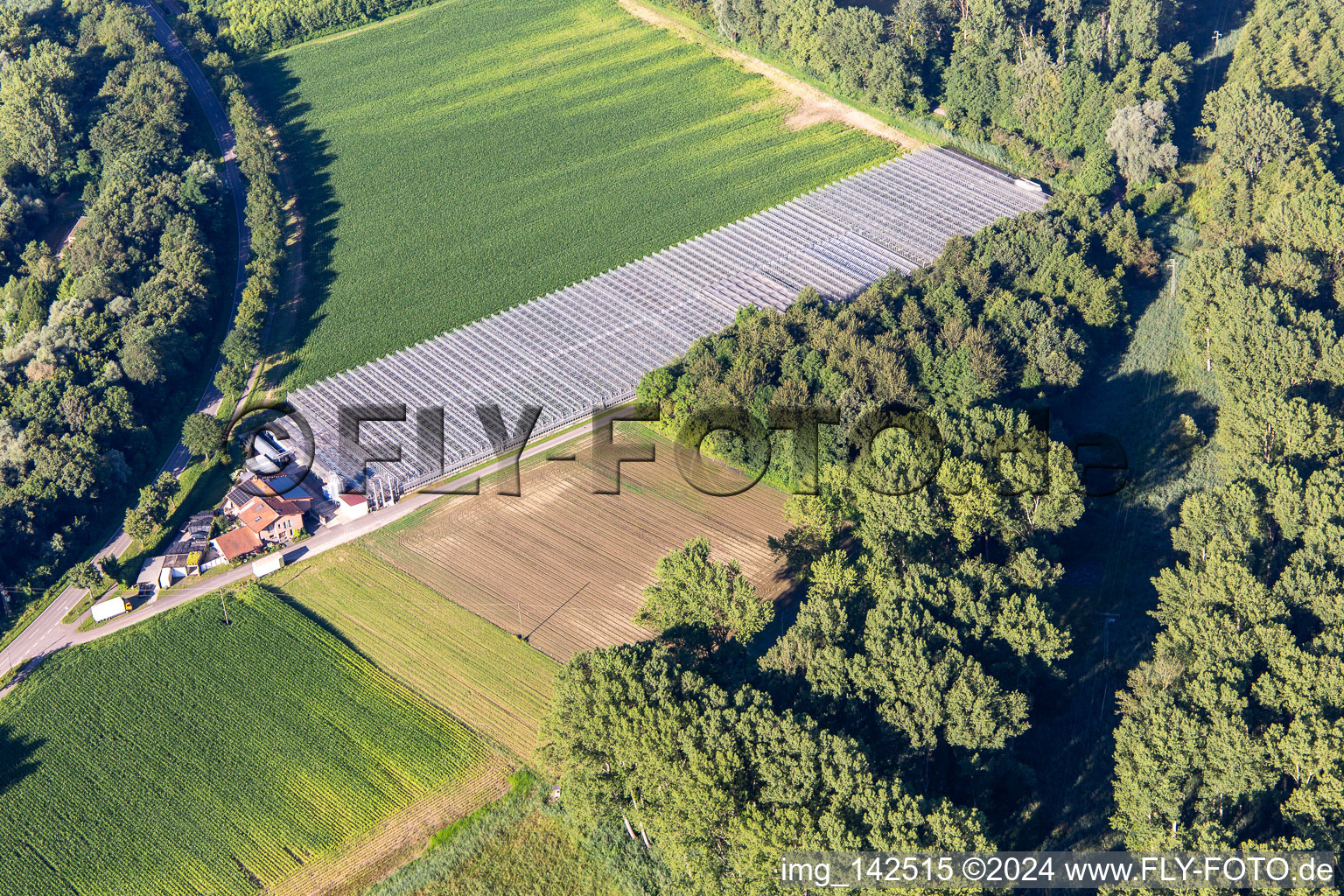 Luftbild von Gärtnerei Blumen-Xpert GbR mit Gewächshäusern an der Hördter Straße im Ortsteil Sondernheim in Germersheim im Bundesland Rheinland-Pfalz, Deutschland