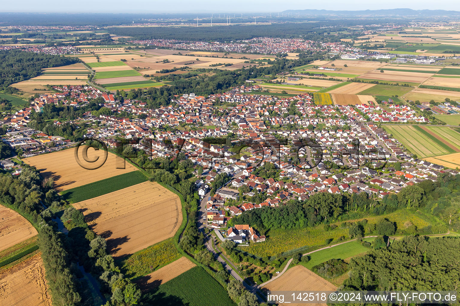 Luftbild von Hördt von Nordosten im Bundesland Rheinland-Pfalz, Deutschland