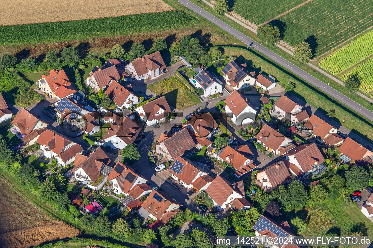 Am Preischberg in Hördt im Bundesland Rheinland-Pfalz, Deutschland