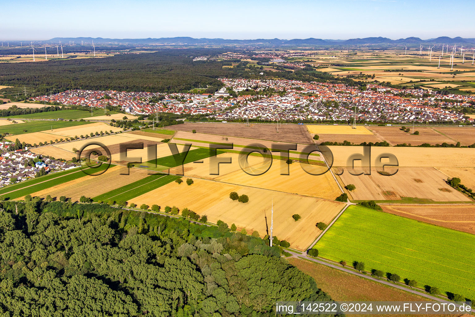 Rülzheim von Osten im Bundesland Rheinland-Pfalz, Deutschland