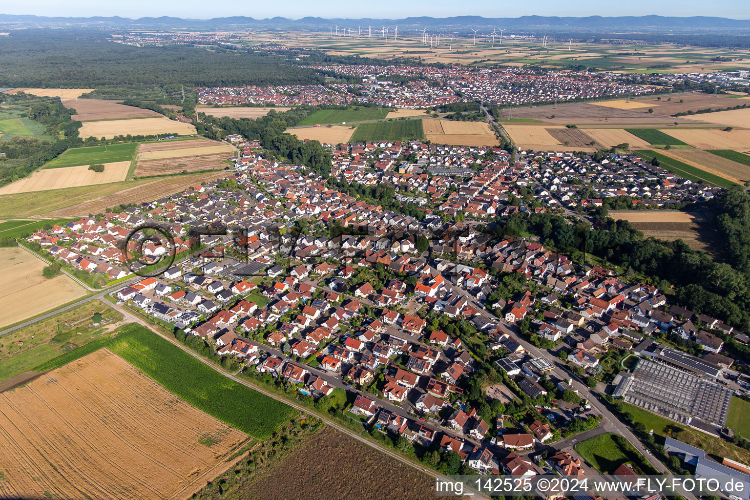 Im Lerchenflug in Kuhardt im Bundesland Rheinland-Pfalz, Deutschland