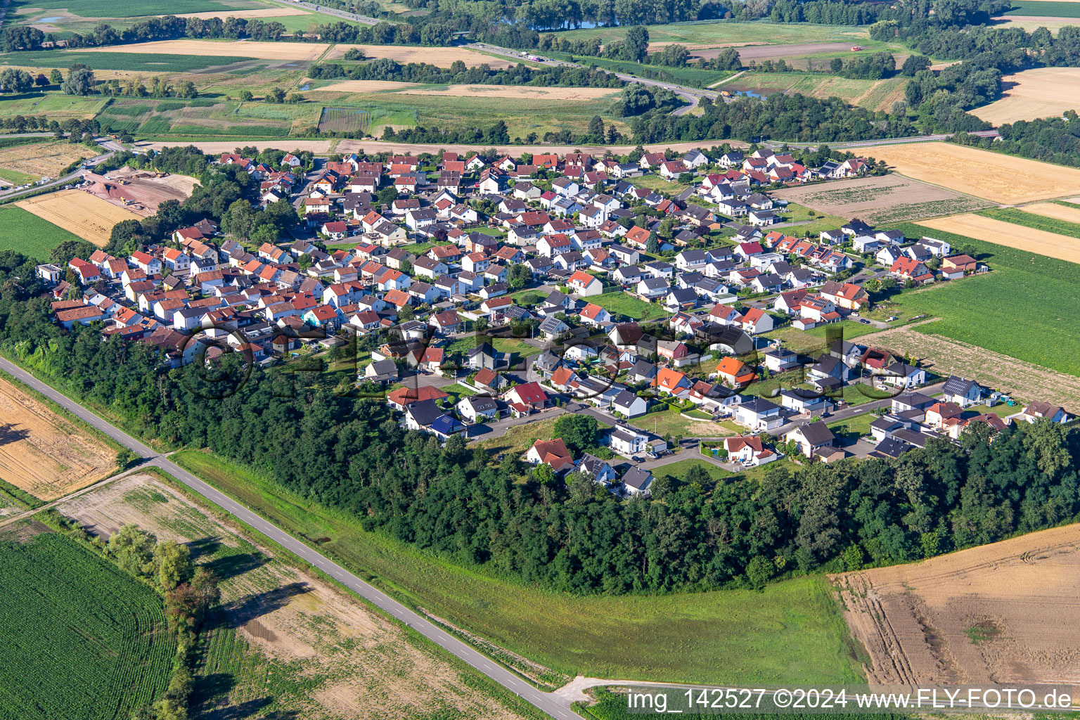 Hardtwald von Nordosten in Neupotz im Bundesland Rheinland-Pfalz, Deutschland