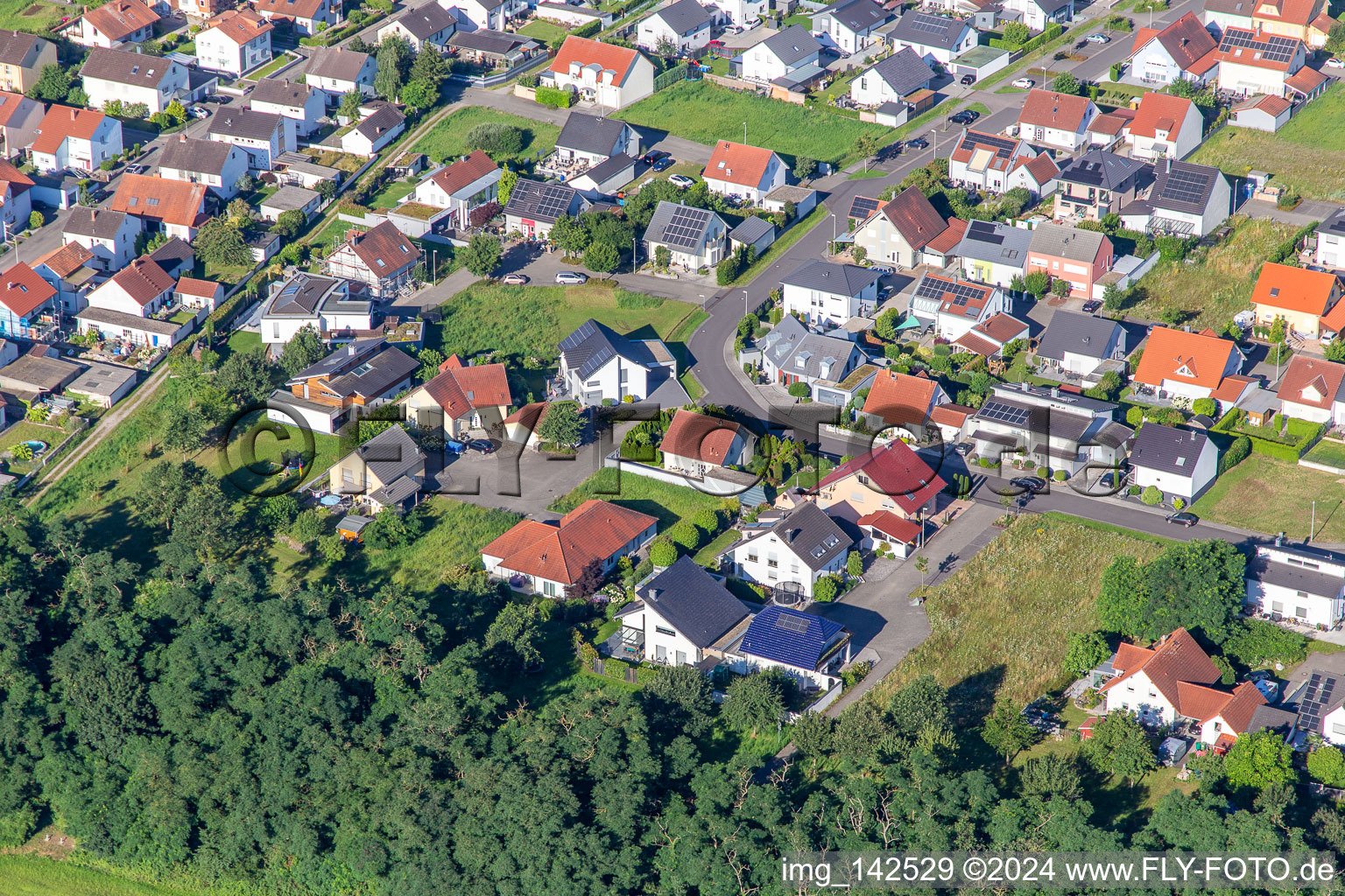 Weißdornweg im Ortsteil Hardtwald in Neupotz im Bundesland Rheinland-Pfalz, Deutschland