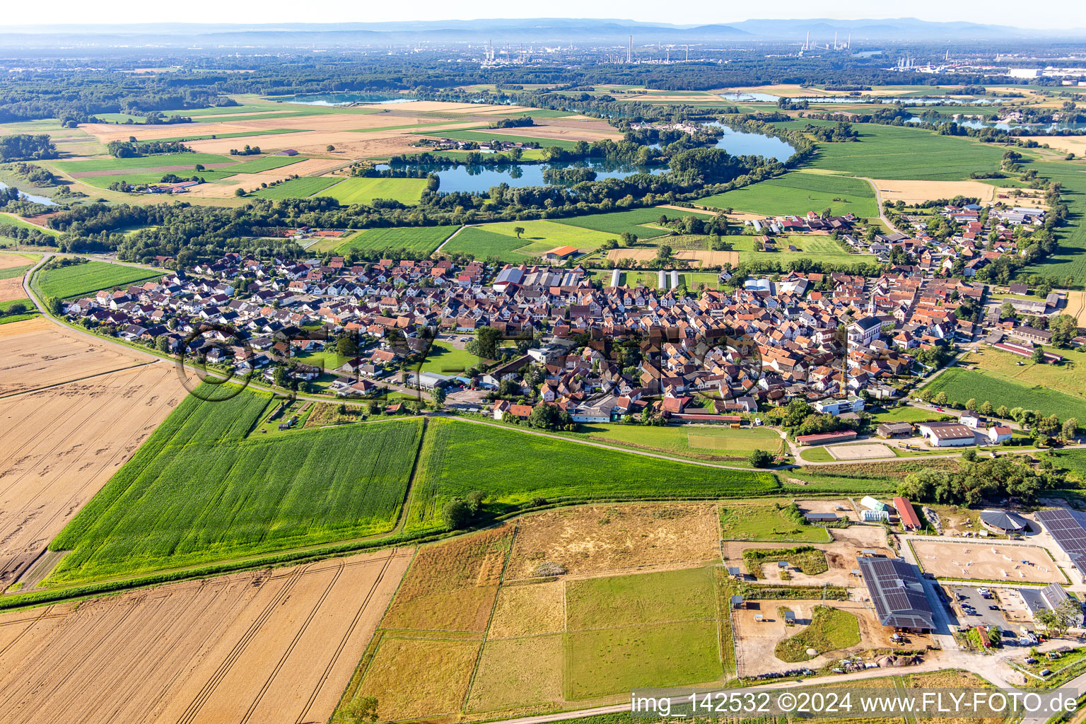 Neupotz von Norden im Bundesland Rheinland-Pfalz, Deutschland