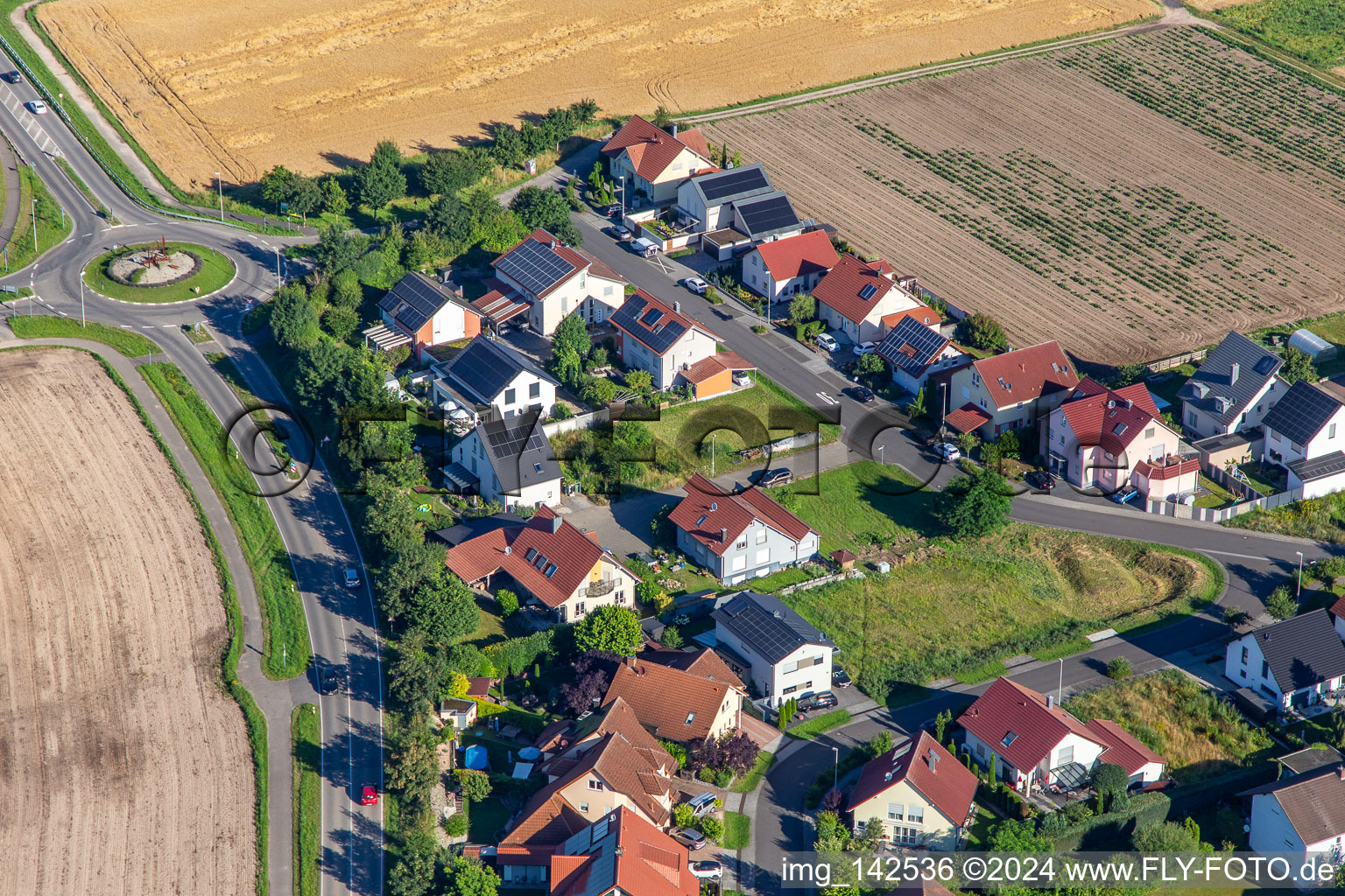 Im Altfeld im Ortsteil Hardtwald in Neupotz im Bundesland Rheinland-Pfalz, Deutschland