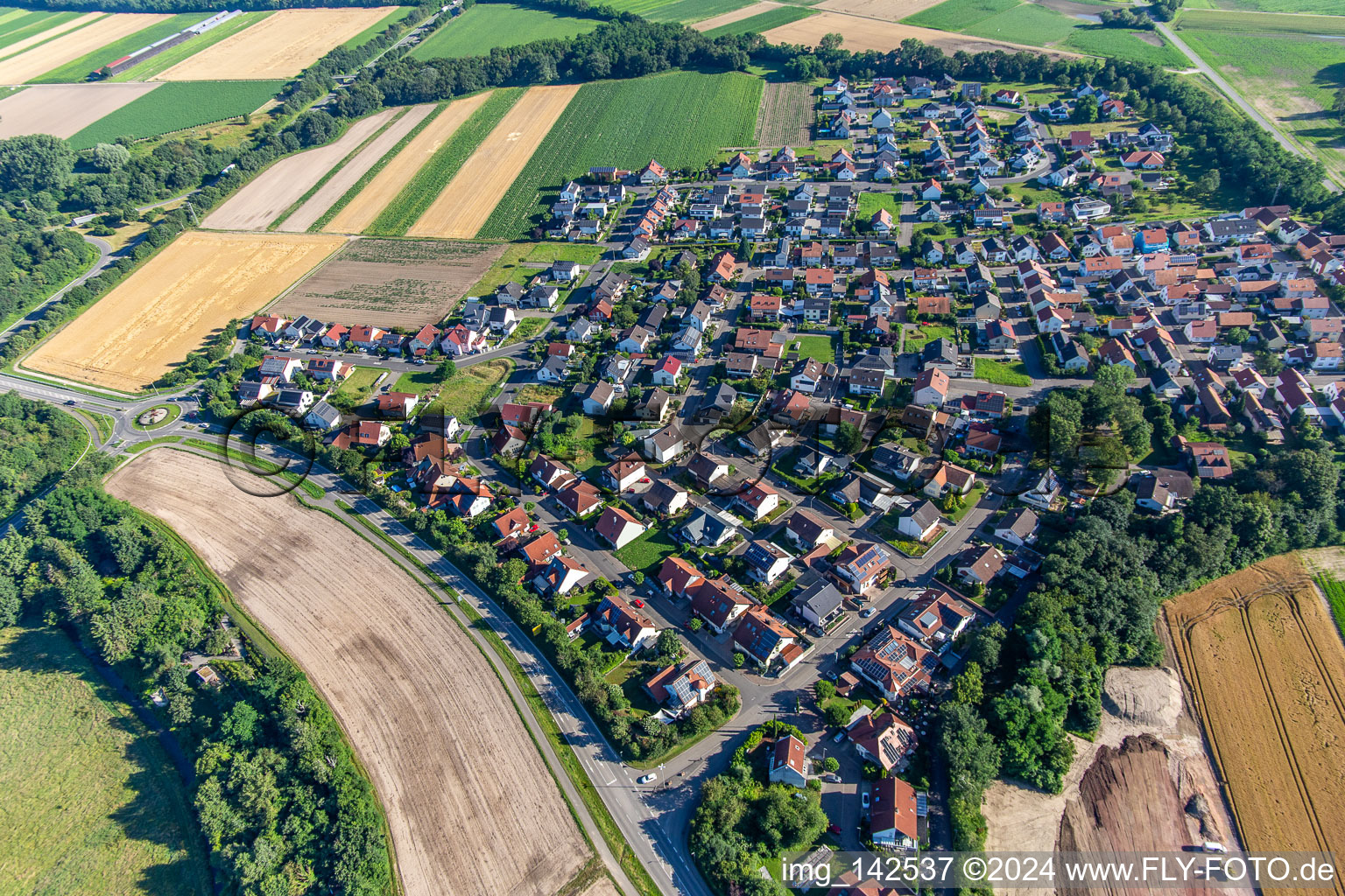 Hardtwald von Süden in Neupotz im Bundesland Rheinland-Pfalz, Deutschland