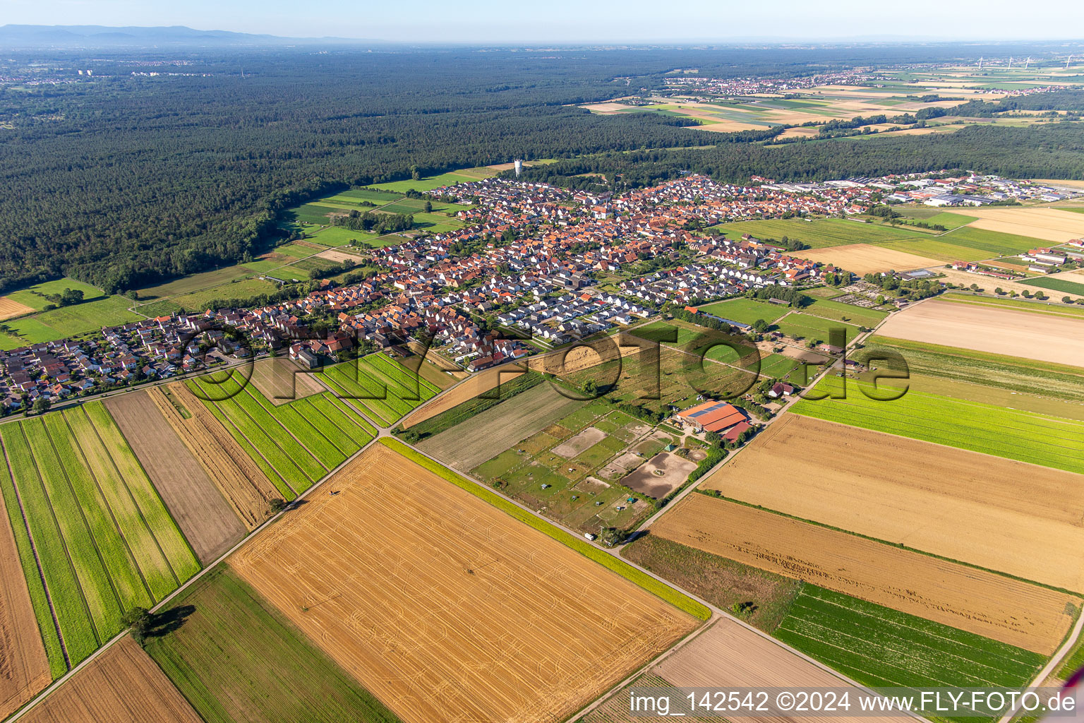 Hatzenbühl von Nordosten im Bundesland Rheinland-Pfalz, Deutschland