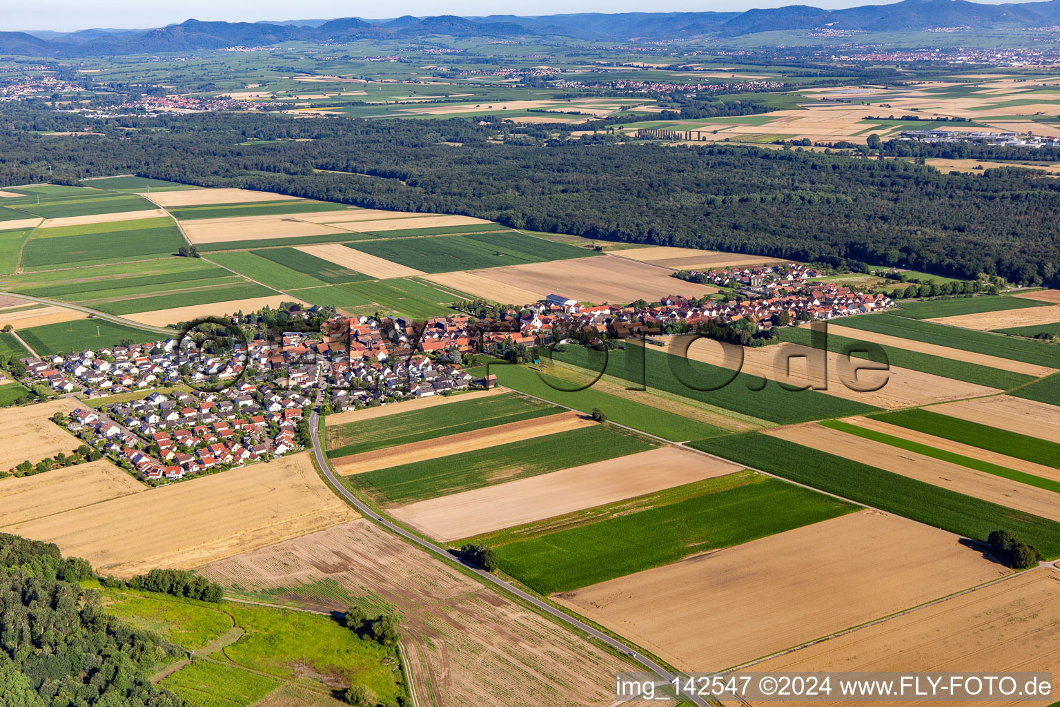 Hayna von Südosten in Herxheim bei Landau im Bundesland Rheinland-Pfalz, Deutschland