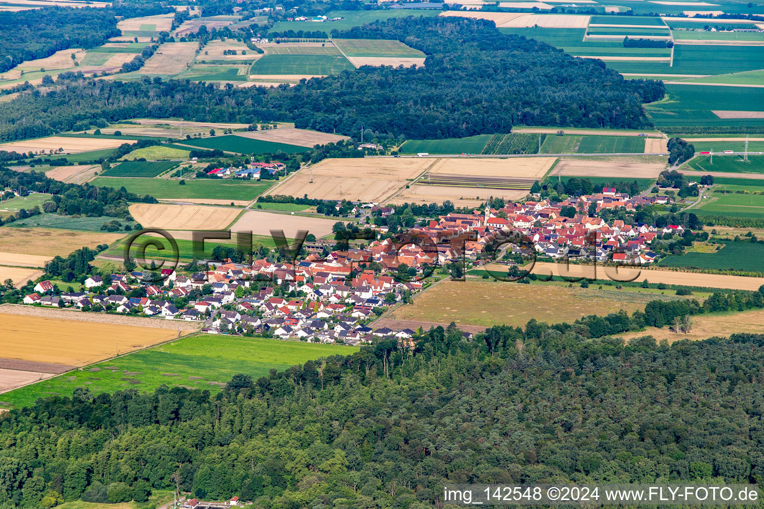 Erlenbach bei Kandel von Nordosten im Bundesland Rheinland-Pfalz, Deutschland vom Flugzeug aus