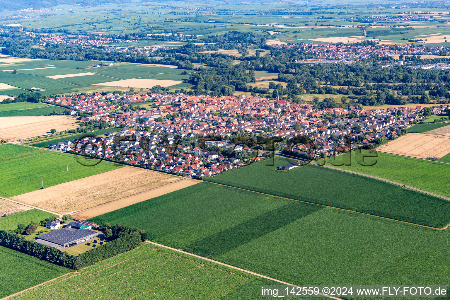 Luftbild von Steinweiler von Südosten im Bundesland Rheinland-Pfalz, Deutschland