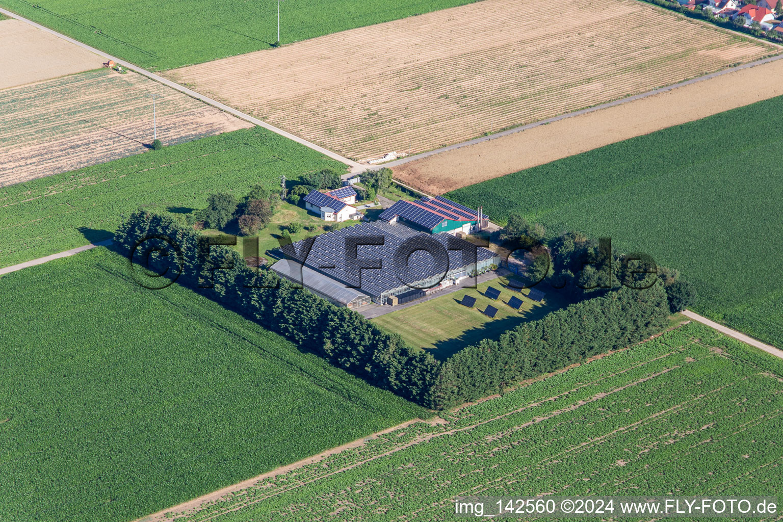 Aussiedlerhof in Steinweiler im Bundesland Rheinland-Pfalz, Deutschland