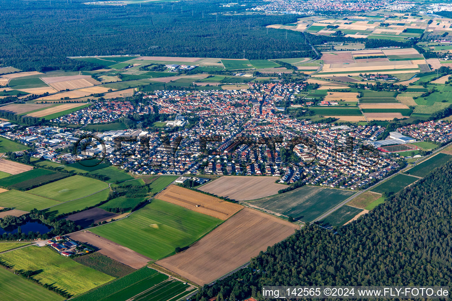 Luftbild von Reilingen im Bundesland Baden-Württemberg, Deutschland