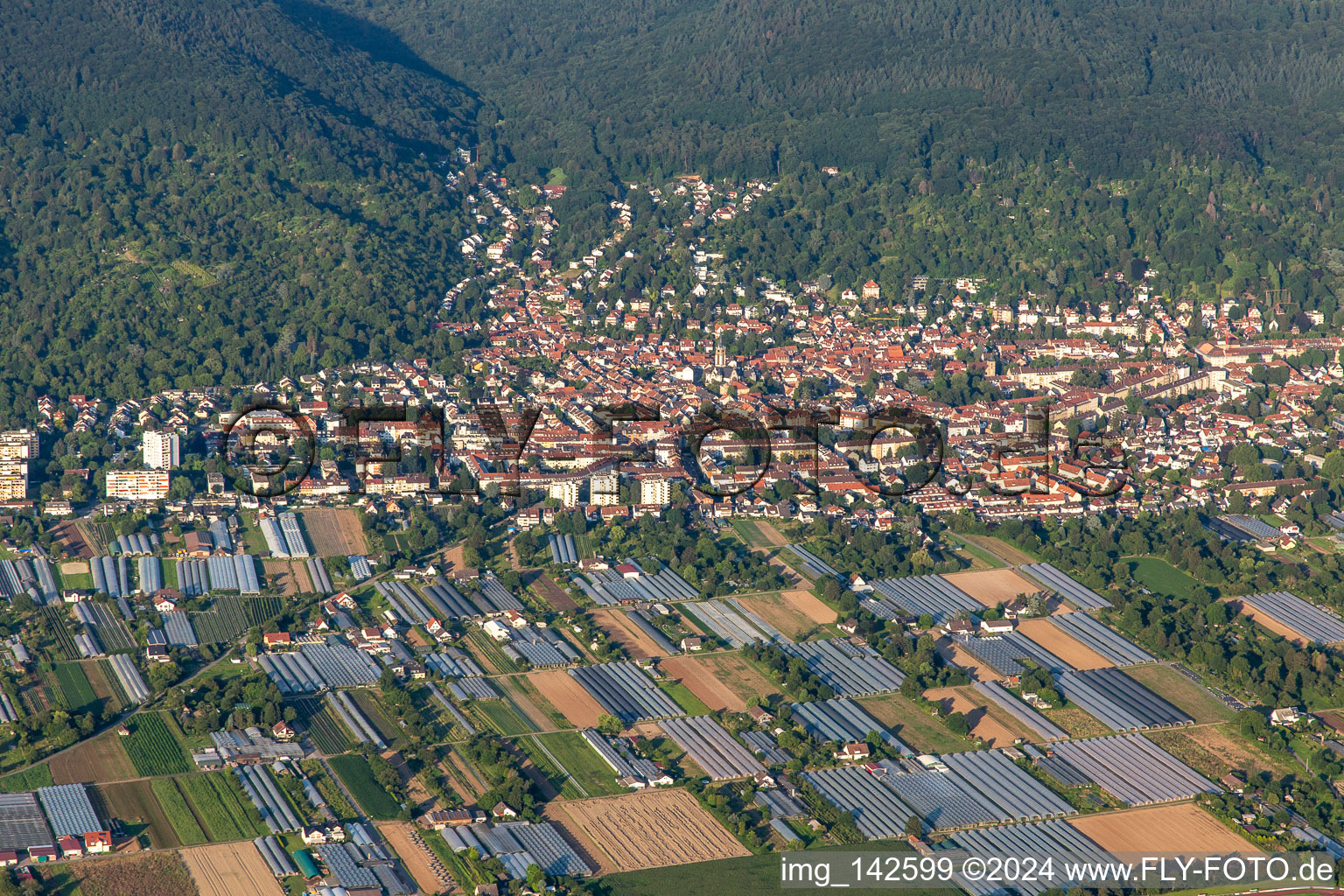 Handschuhsheim von Westen in Heidelberg im Bundesland Baden-Württemberg, Deutschland