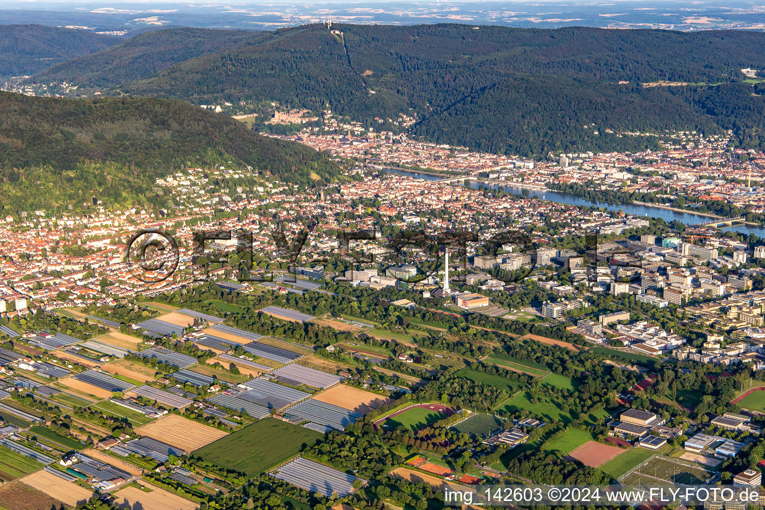 Neuenheim von Nordwesten in Heidelberg im Bundesland Baden-Württemberg, Deutschland