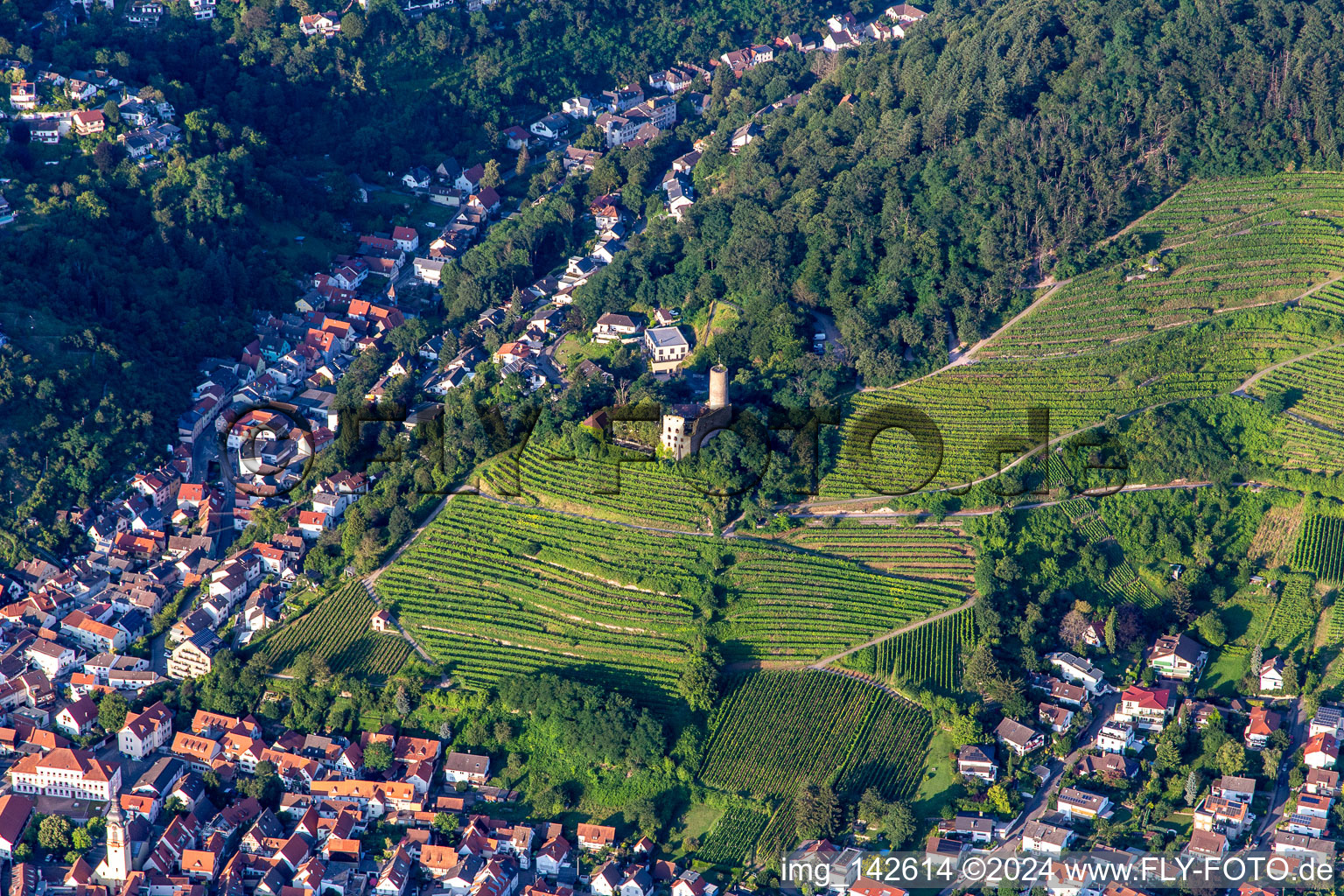 Luftbild von Burgruine Schauenburg in Schriesheim im Bundesland Baden-Württemberg, Deutschland