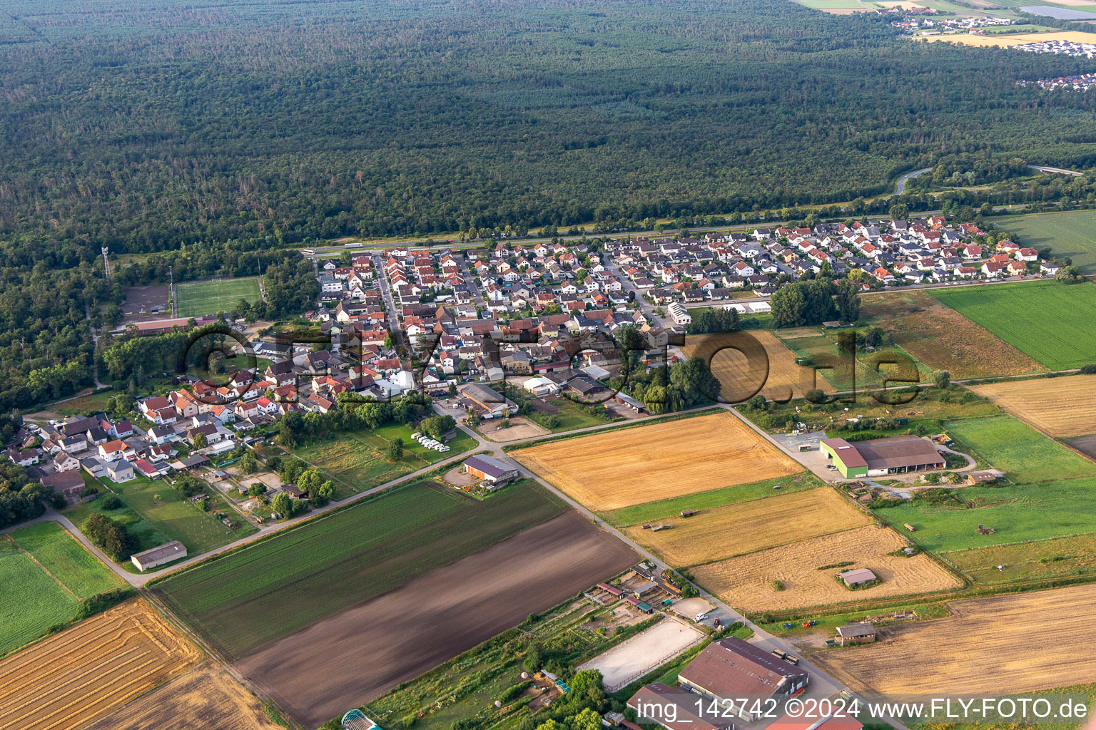 Riedrode von Norden in Bürstadt im Bundesland Hessen, Deutschland