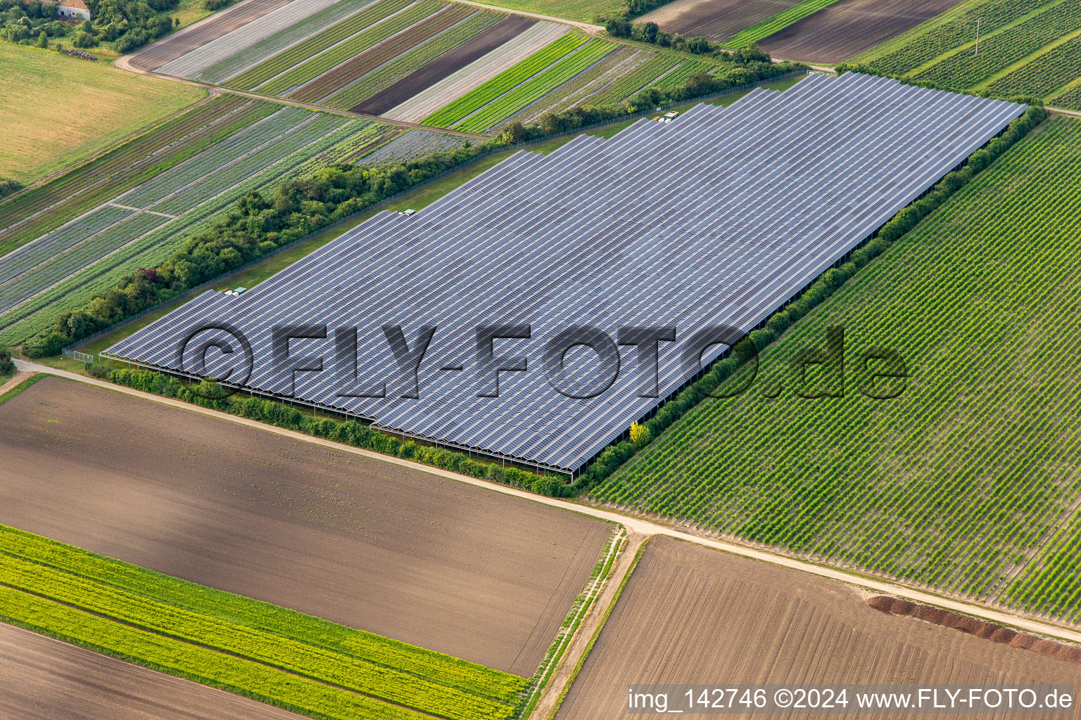 Große Freiland-PV-Anlage in Bürstadt im Bundesland Hessen, Deutschland