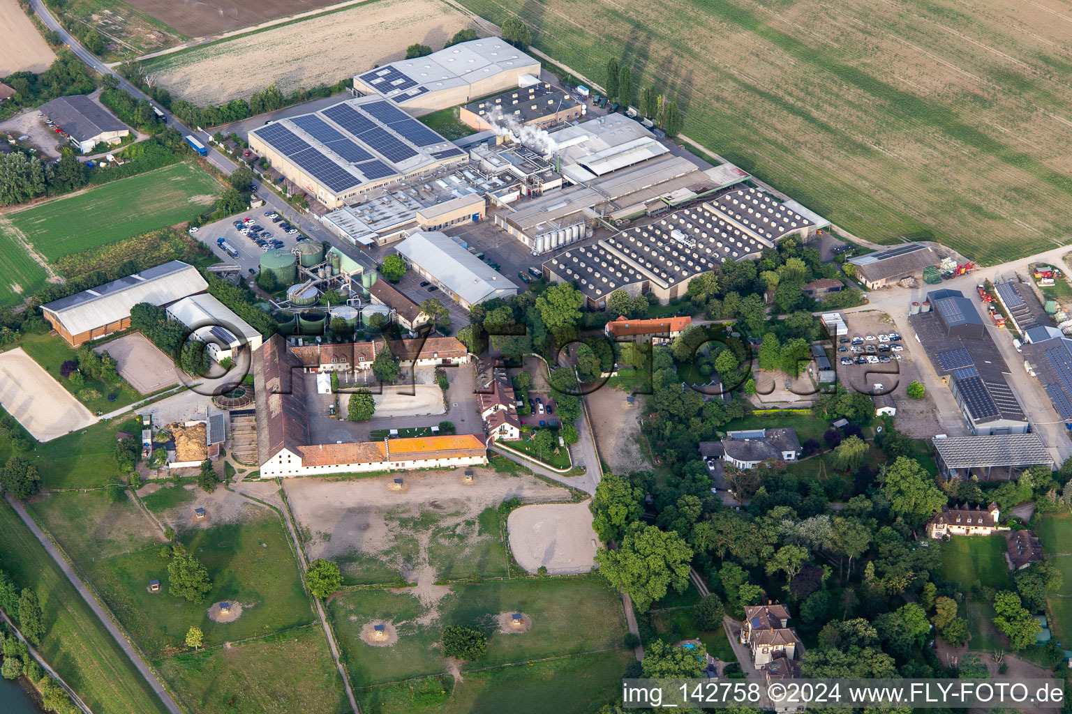 Luftbild von Intersnack Deutschland SE Werk Petersau und  Reitanlage Carlo von Opel im Ortsteil Mörsch in Frankenthal im Bundesland Rheinland-Pfalz