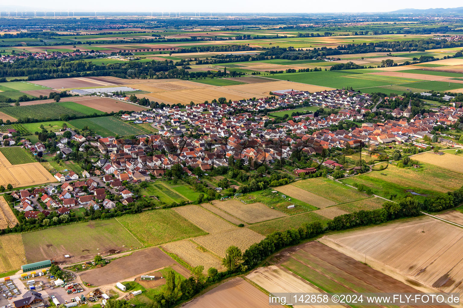 Gommersheim von Norden im Bundesland Rheinland-Pfalz, Deutschland