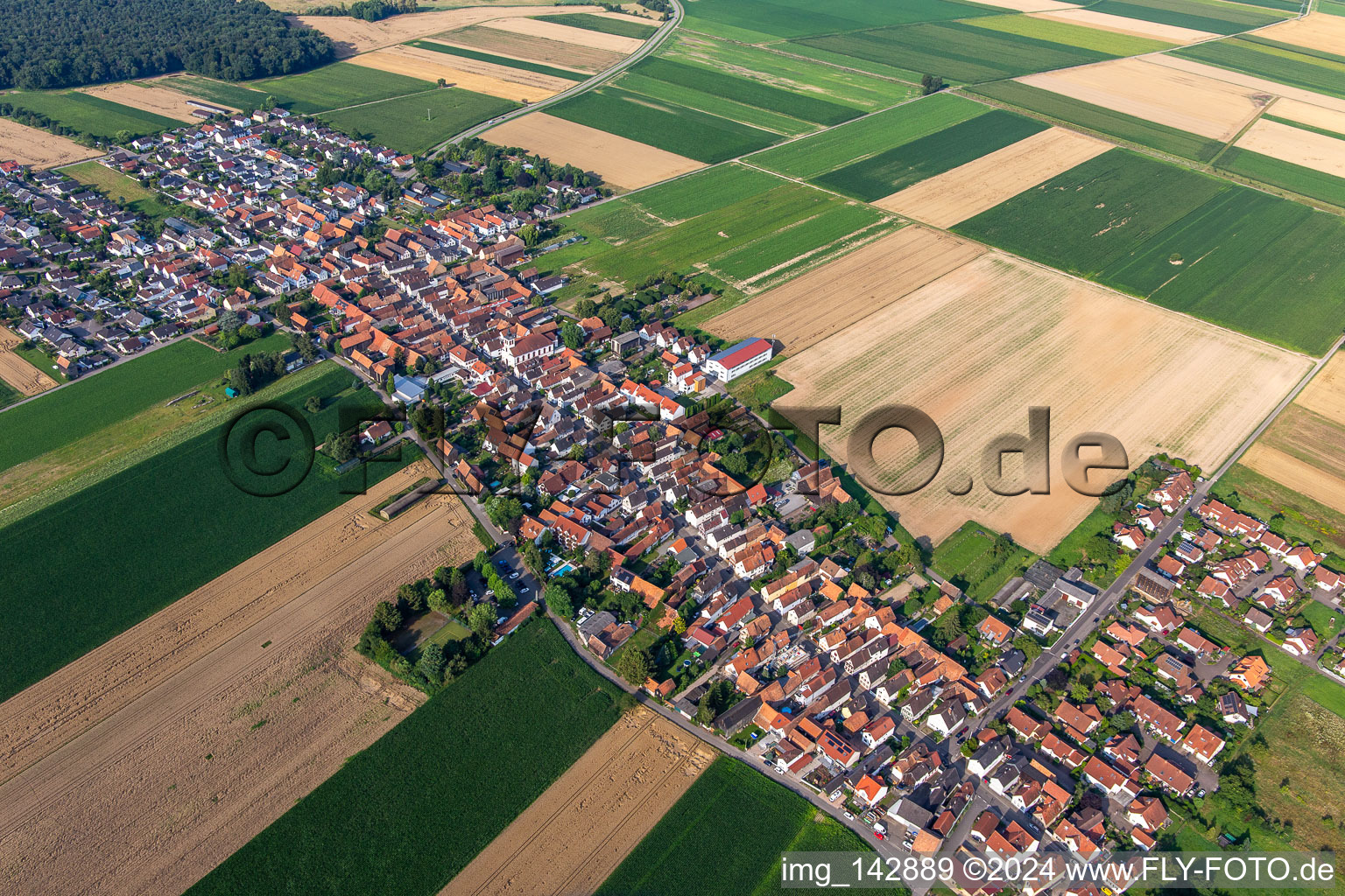 Luftbild von Hayna von Nordosten in Herxheim bei Landau im Bundesland Rheinland-Pfalz, Deutschland