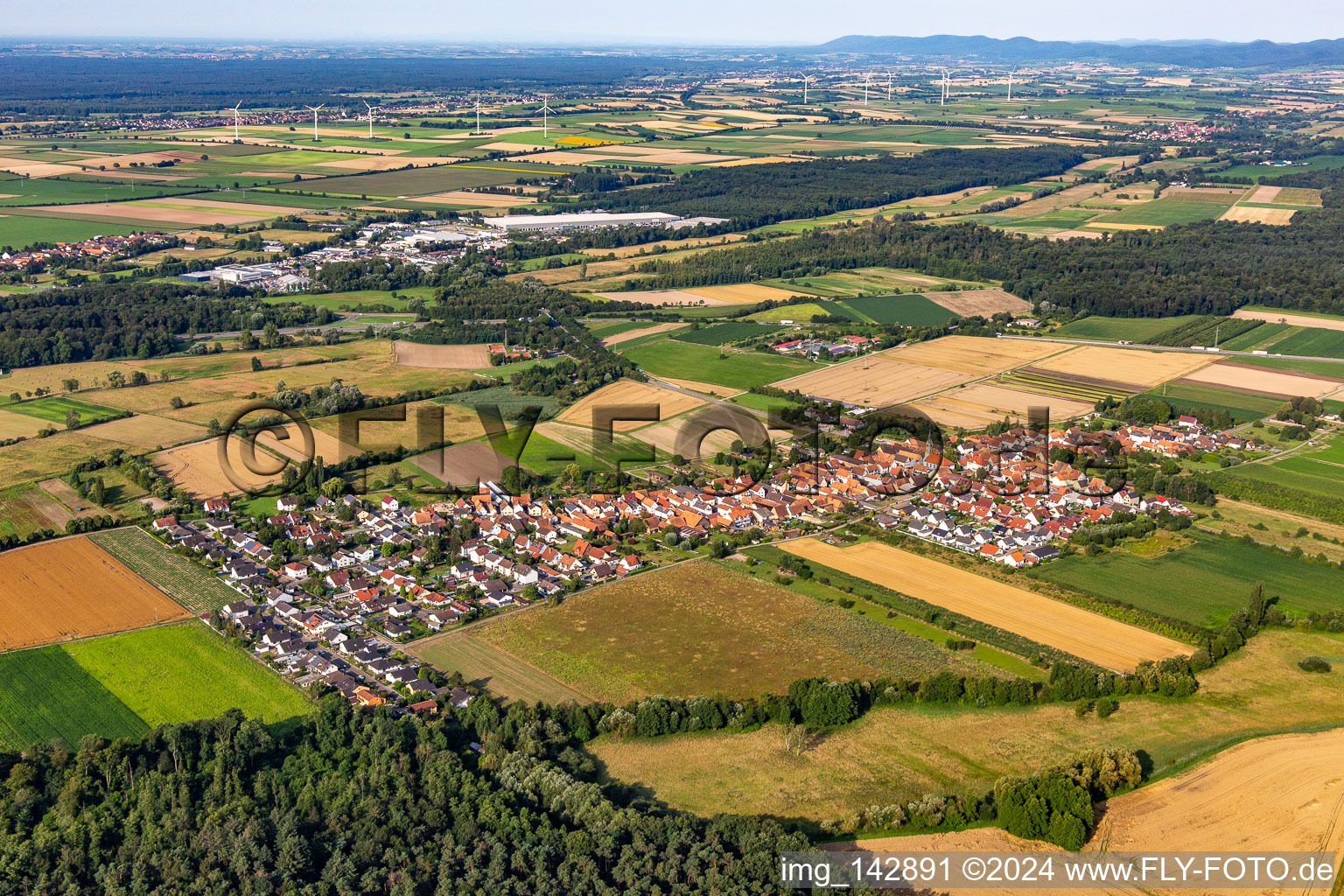 Erlenbach bei Kandel von Nordosten im Bundesland Rheinland-Pfalz, Deutschland aus der Vogelperspektive