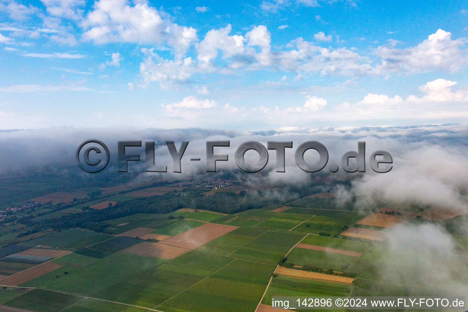 Unter tiefen Wolken in Barbelroth im Bundesland Rheinland-Pfalz, Deutschland