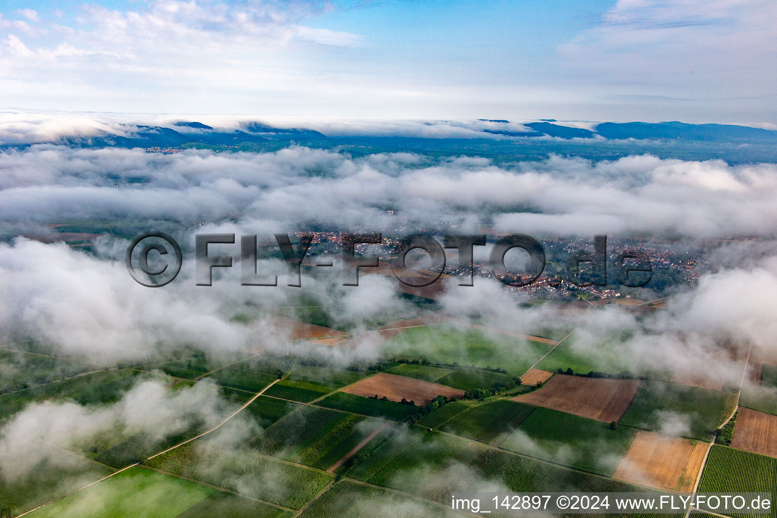 Unter tiefen Wolken im Ortsteil Ingenheim in Billigheim-Ingenheim im Bundesland Rheinland-Pfalz, Deutschland