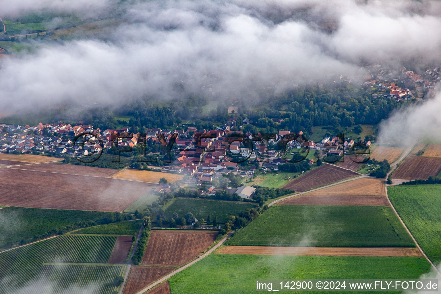 Waldstraße von Süden unter Wolken im Ortsteil Mühlhofen in Billigheim-Ingenheim im Bundesland Rheinland-Pfalz, Deutschland