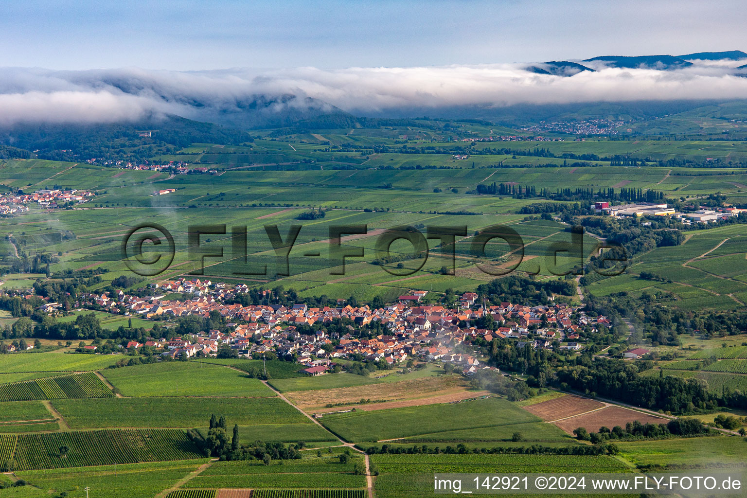 Ortschaft von Süden mit Wolken in Göcklingen im Bundesland Rheinland-Pfalz, Deutschland