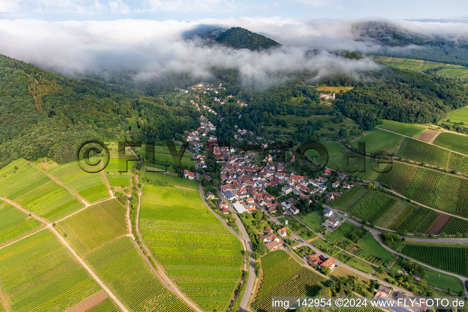 Birnbachtal am Morgen von Südosten in Leinsweiler im Bundesland Rheinland-Pfalz, Deutschland