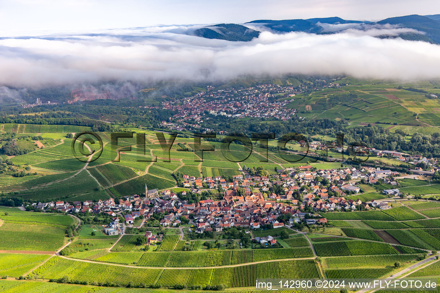 Weinort von Süden in Birkweiler im Bundesland Rheinland-Pfalz, Deutschland