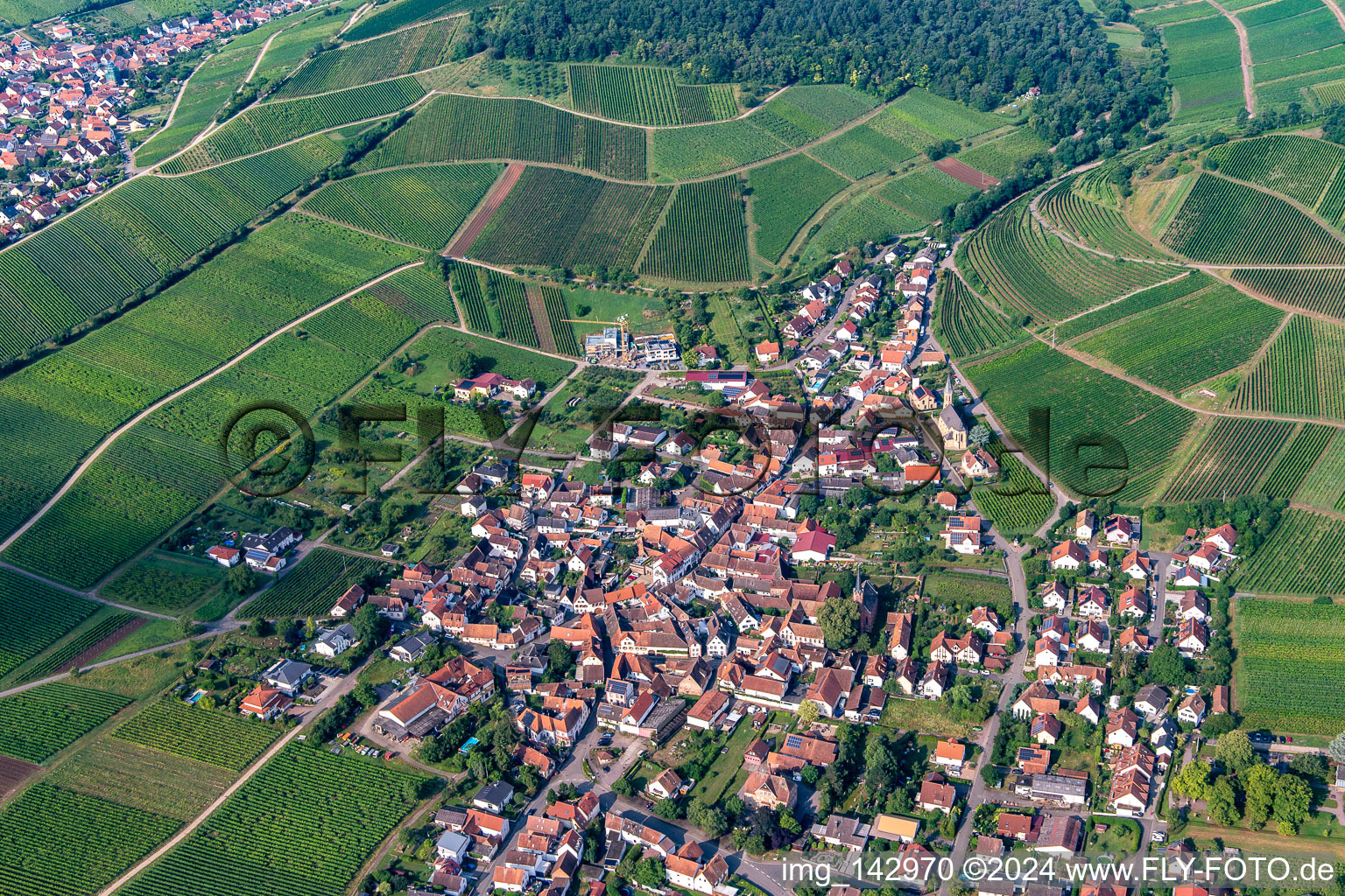 Weinlage Kastanienbusch hinter dem Weinort von Osten in Birkweiler im Bundesland Rheinland-Pfalz, Deutschland